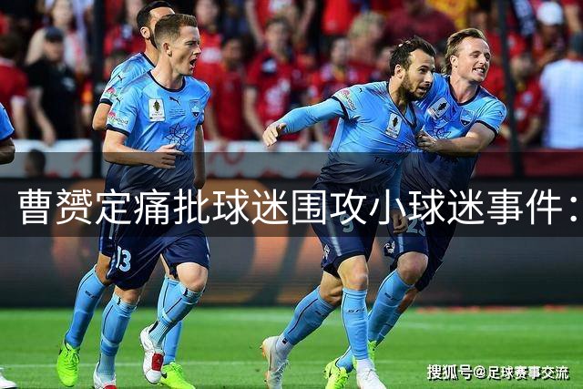曹赟定痛批球迷围攻小球迷事件：球场暴力伤害足球未来