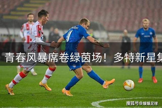 青春风暴席卷绿茵场！多特新星集体爆发引高层盛赞